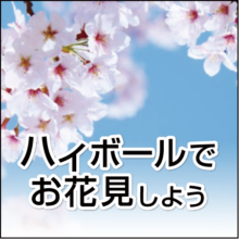 ハイボールでお花見しよう！