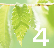 4月のイベントカレンダー