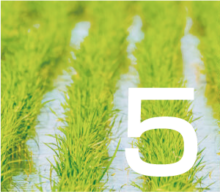 5月のイベントカレンダー